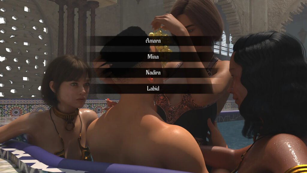 The Sultan and his Harem Free Download [v1.0]